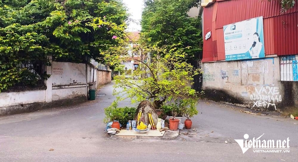 W-26626ee4 b5f6 416c 9dc1 0f0b29c7f6a5.jpg