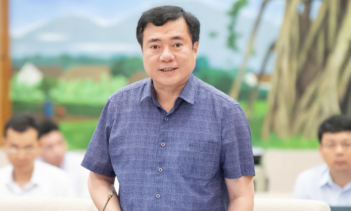 Thứ trưởng Bộ Công Thương Nguyễn Sinh Nhật Tân.