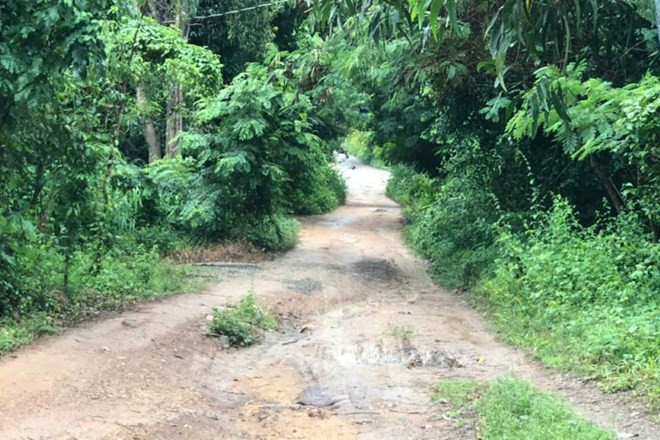 Nghi án con trai sát hại mẹ, chém trọng thương chị gái ở TPHCM.jpg