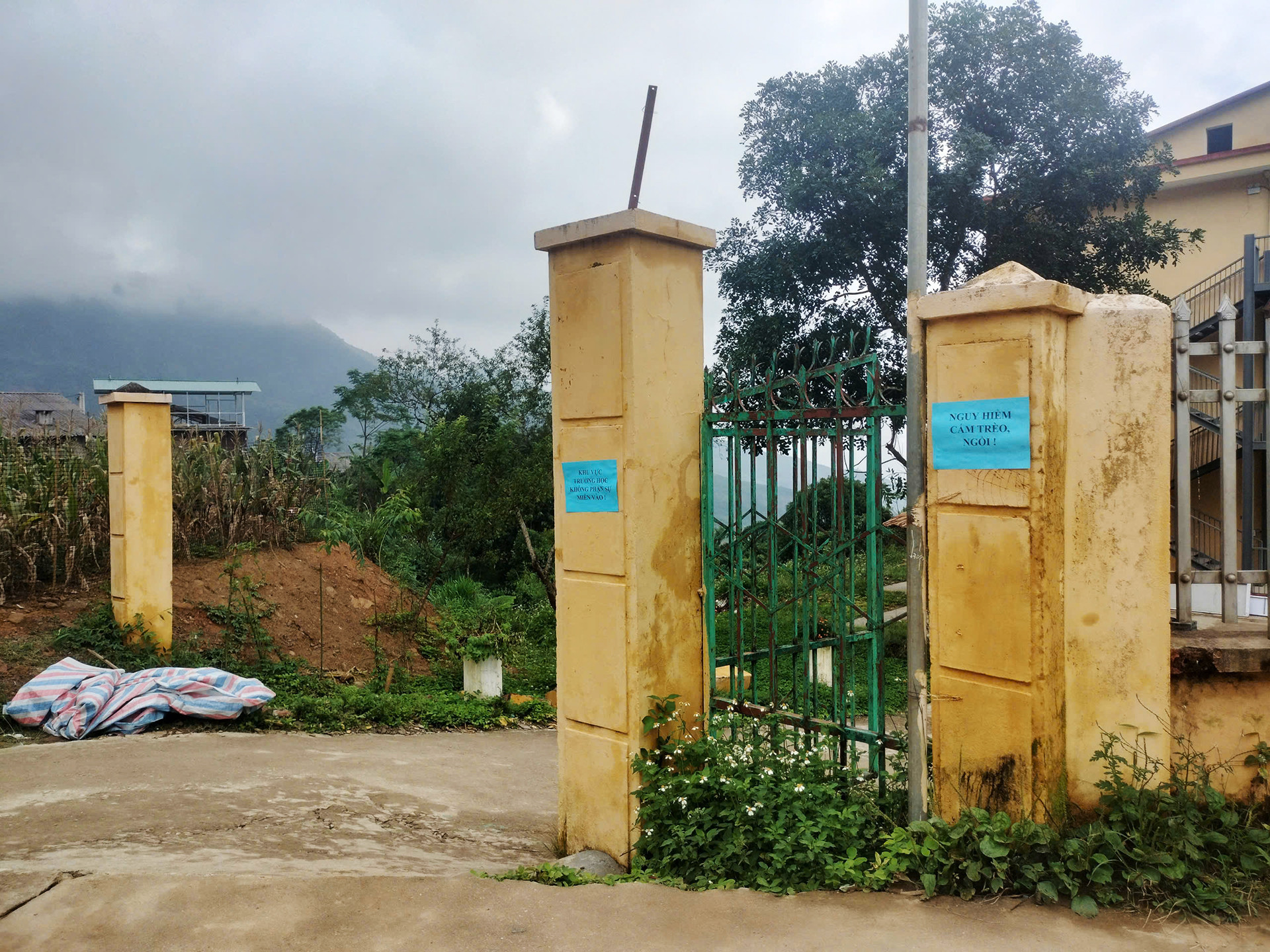 nam muoi 2.jpg