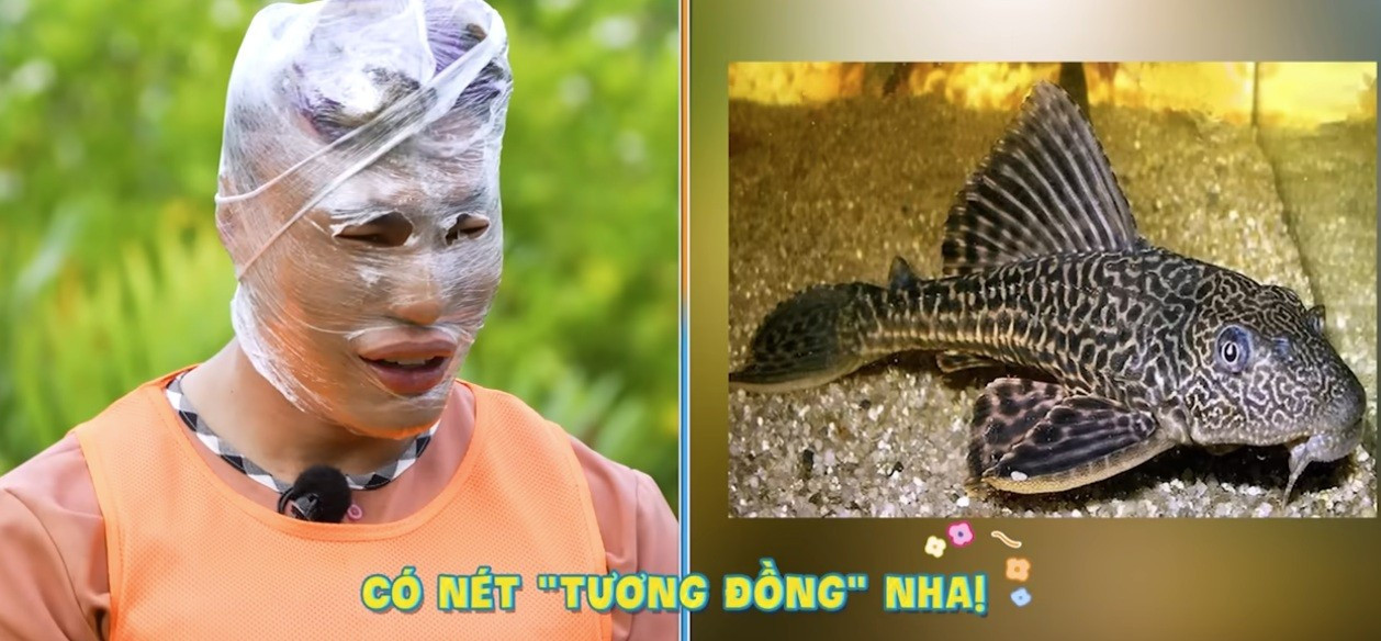 2ngay-1dem-5.jpg
