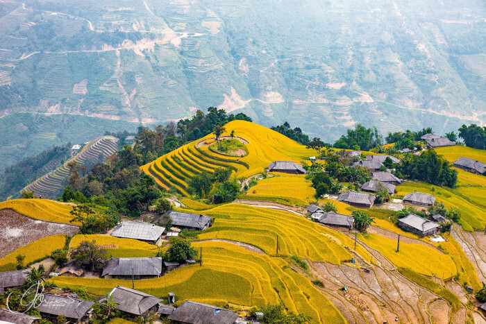 Với điểm ngắm lúa vàng ở Hoàng Su Phì (Hà Giang cũ, nay thuộc Tuyên Quang), các đơn vị lữ hành có tour 3 ngày 2 đêm, giá từ 3 - 3,38 triệu đồng/người. (Ảnh: PYS Travel)