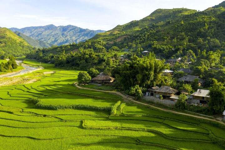 Ngoài ra, còn có một số địa điểm ngắm lúa chín khác như Sa Pa (Lào Cai), Tú Lệ (Lào Cai), Xím Vàng (Sơn La)...(Ảnh: Sưu tầm)