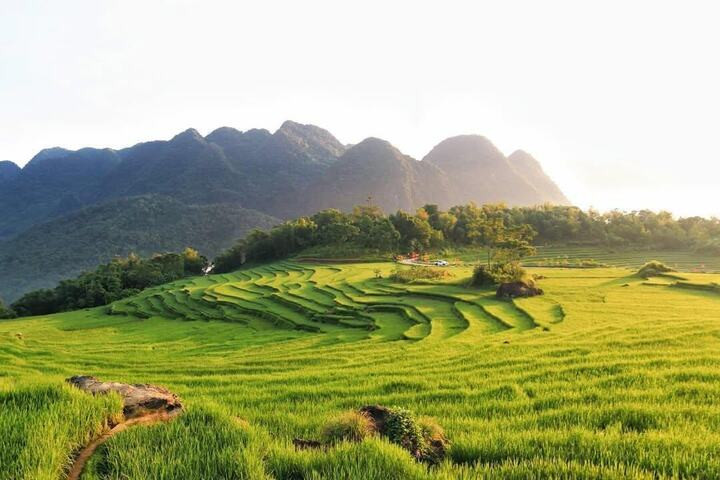 Pù Luông (Thanh Hóa) cũng là một địa điểm lý tưởng ngắm mùa lúa chín. (Ảnh: FB Tấn Tài)