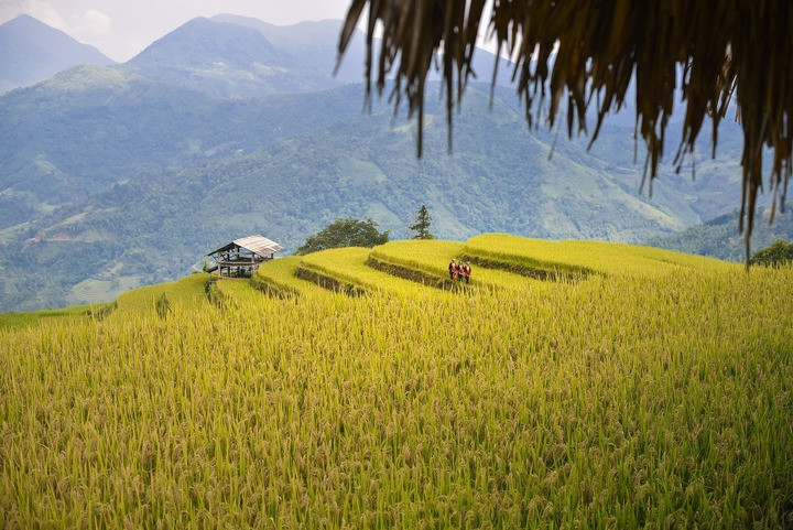 Mức giá này gồm xe đưa đón khứ hồi, nghỉ tại homestay, 5 bữa chính và 2 bữa sáng. (Ảnh: PYS Travel)