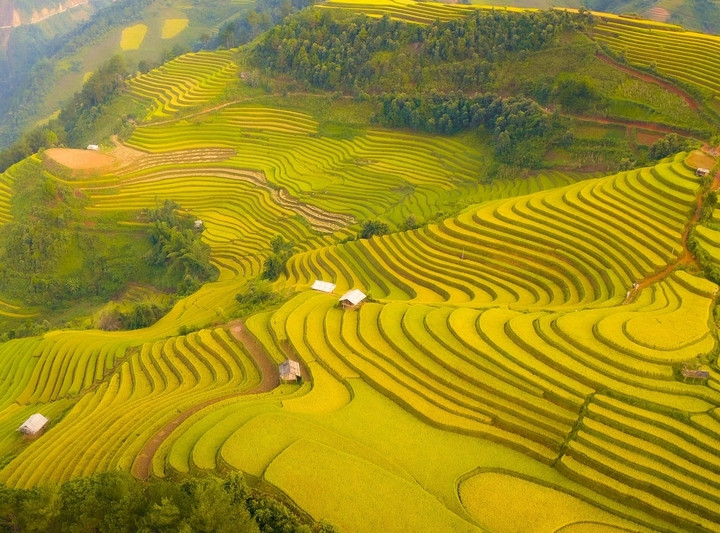 Theo chị Giang, khách đến Mù Cang Chải nếu thuê hướng dẫn viên bản địa sẽ có chi phí một ngày dao động từ 600.000 - 800.000 đồng. (Ảnh: Dulich365)