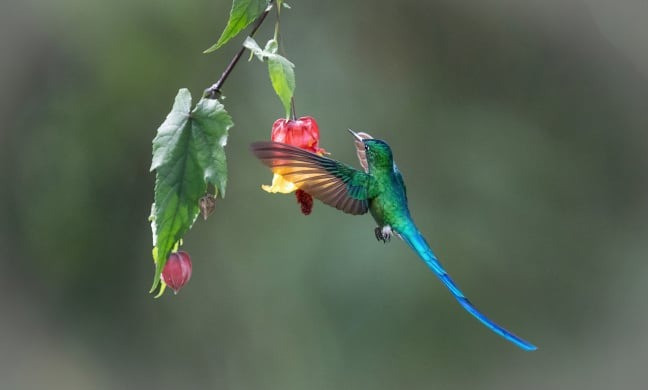 Tháng sinh Âm lịch của người sẽ đổi đời ngoạn mục, càng chăm chỉ càng phát tài - Ảnh 1.