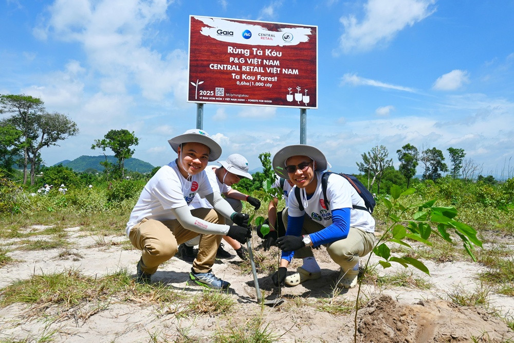 2 Gaia P&G Ta Kou Dung Phan (323) 002.jpg