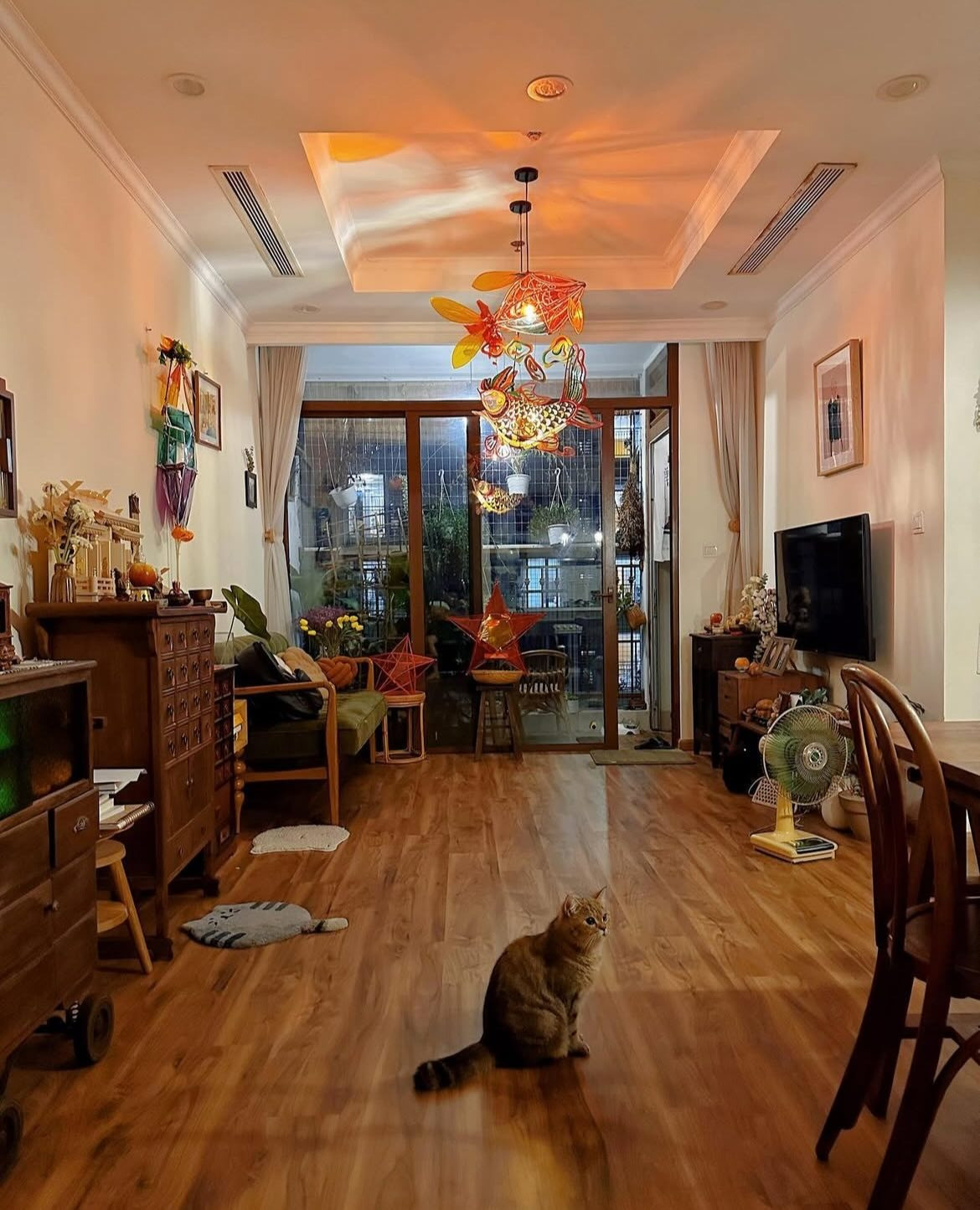 551183516179240285581122835433 17585980514301091058888 17586871744131998052711.jpg