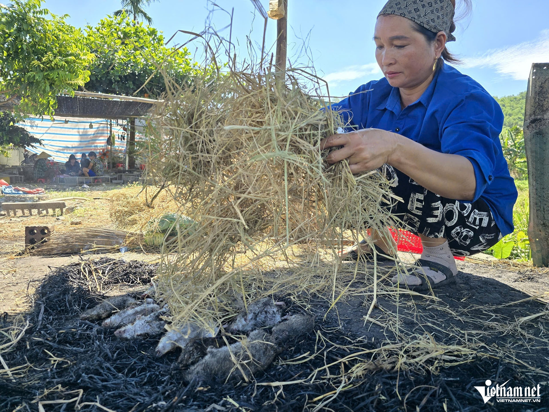 W-Chuột yên thành thêm3.jpg