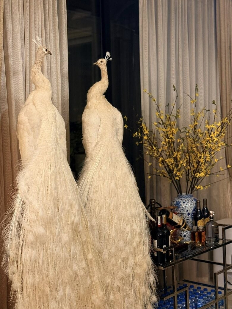 Lệ Quyên và không gian sống xa hoa đậm chất qúy tộc trong cơ ngơi của cô - Ảnh 5.