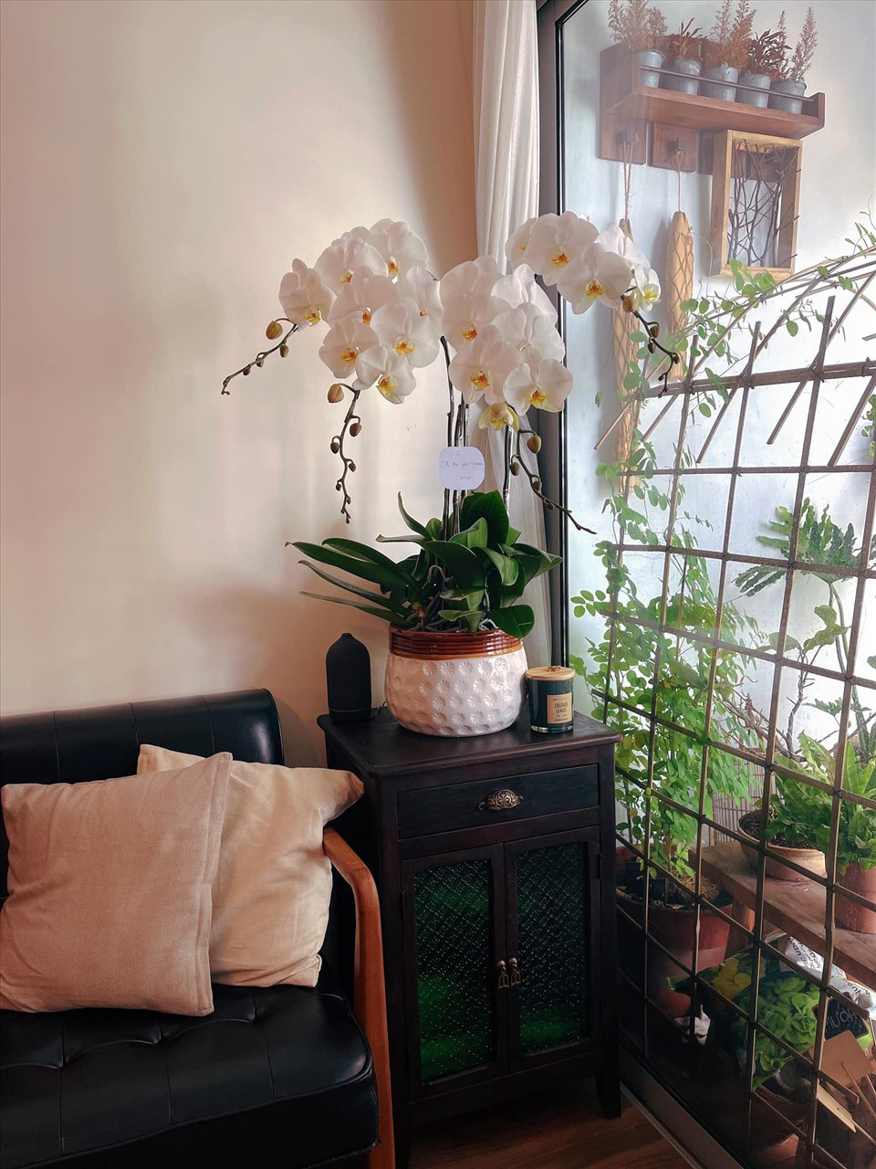 pp 1758687260549309396249.jpg