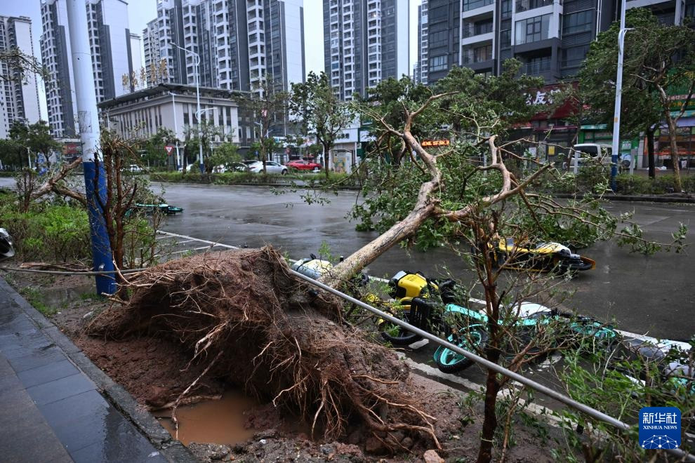 Bão Ragasa: Có uẩn khúc sau thảm họa vỡ hồ chắn, nước lũ ồ ạt ở Đài Loan - Trung Quốc?- Ảnh 4.