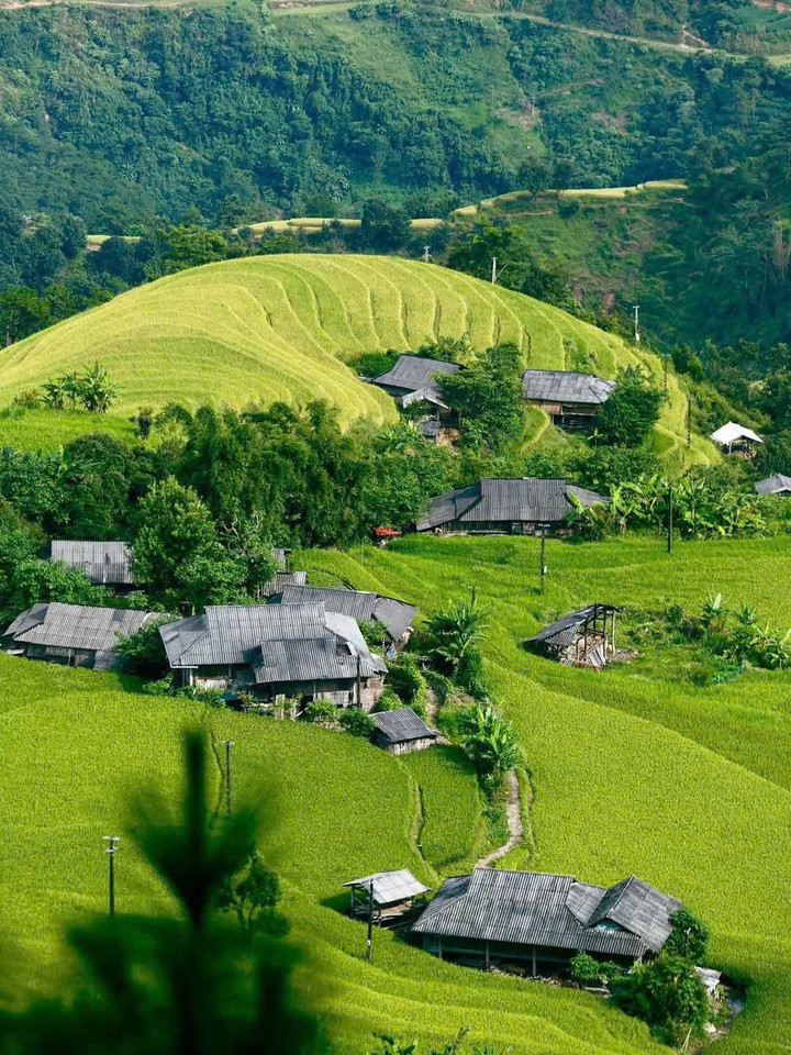 Ruộng bậc thang ở Hoàng Su Phì còn giữ được nguyên vẻ đẹp hoang sơ với những nếp nhà sàn nhỏ xinh, lác đác trên sườn đồi.