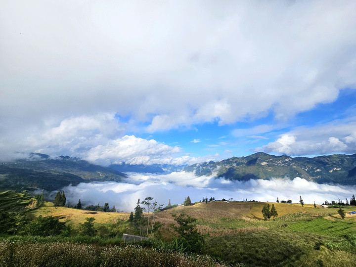 Màu vàng của lúa chín hoà quyện với màu xanh của núi rừng, màu trắng của mây trời mang lại vẻ đẹp hoang sơ và quyến rũ cho Hoàng Su Phì.