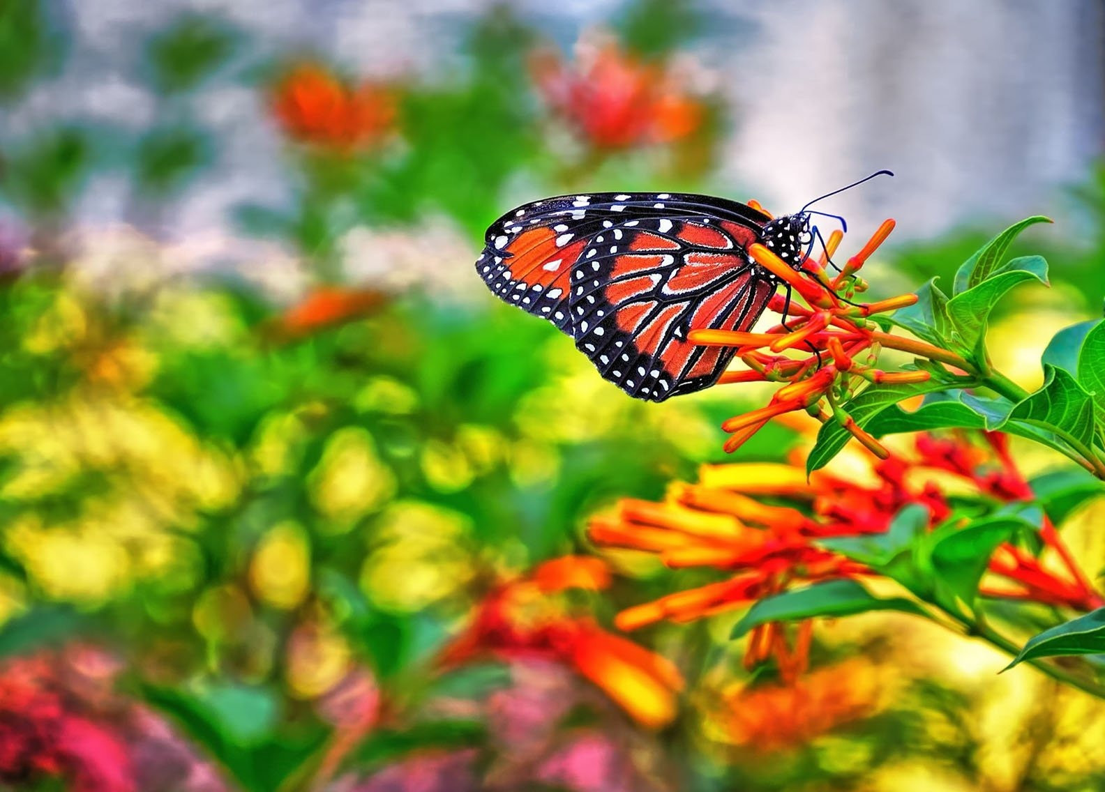 Tháng sinh Âm lịch của người mạnh mẽ - Ảnh 1.