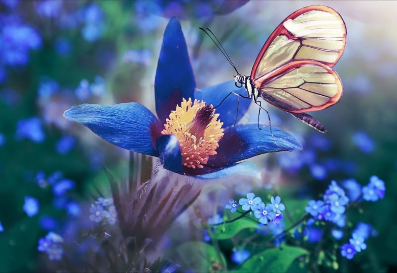 Tháng sinh Âm lịch của người mạnh mẽ - Ảnh 3.