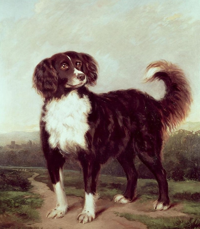 tuoi tuat4   Copy.jpg