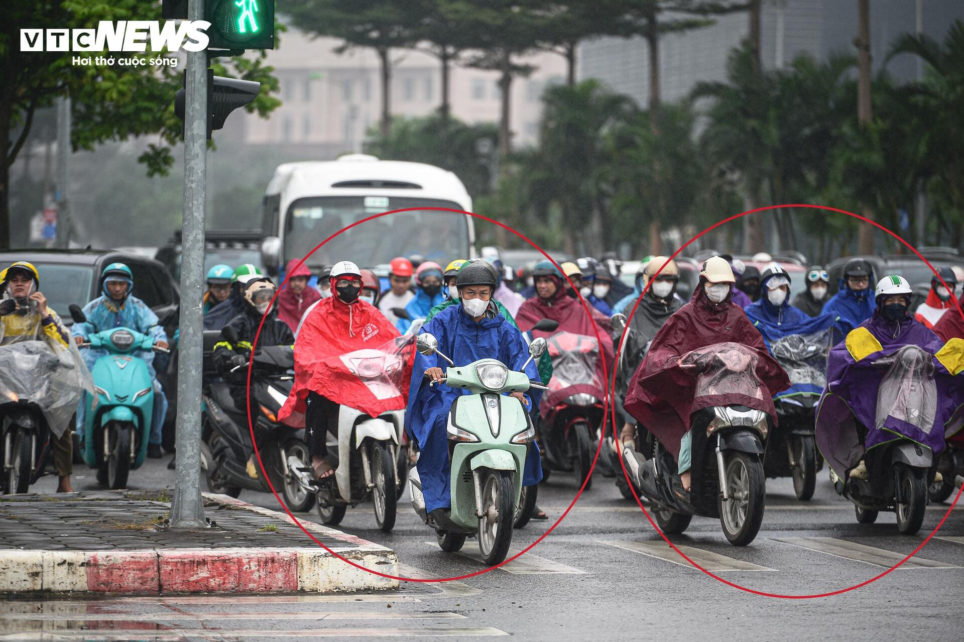Hình ảnh giao thông khác lạ trên tuyến đường có camera AI giám sát - 14