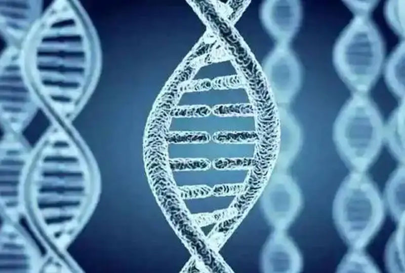 Lông mày của nam giới đột nhiên dài ra sau tuổi 50 có ý nghĩa gì Hầu hết mọi người vẫn còn mơ hồ