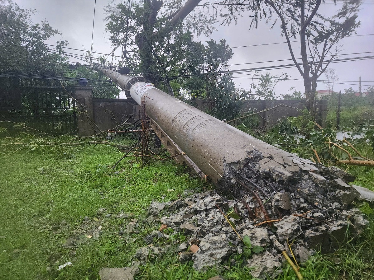 Hải Sâm1.jpg