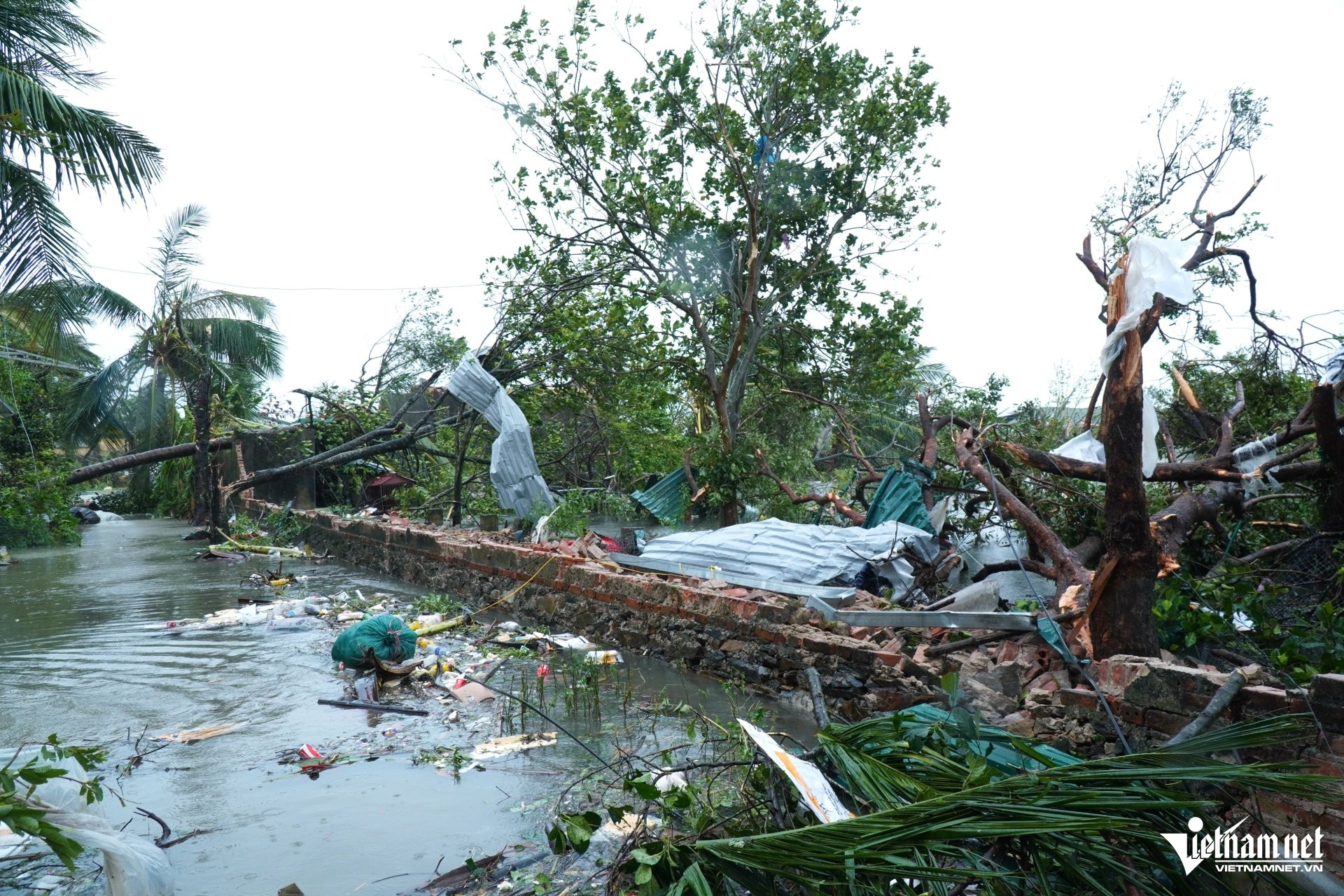 W-Lê Dương4.jpg