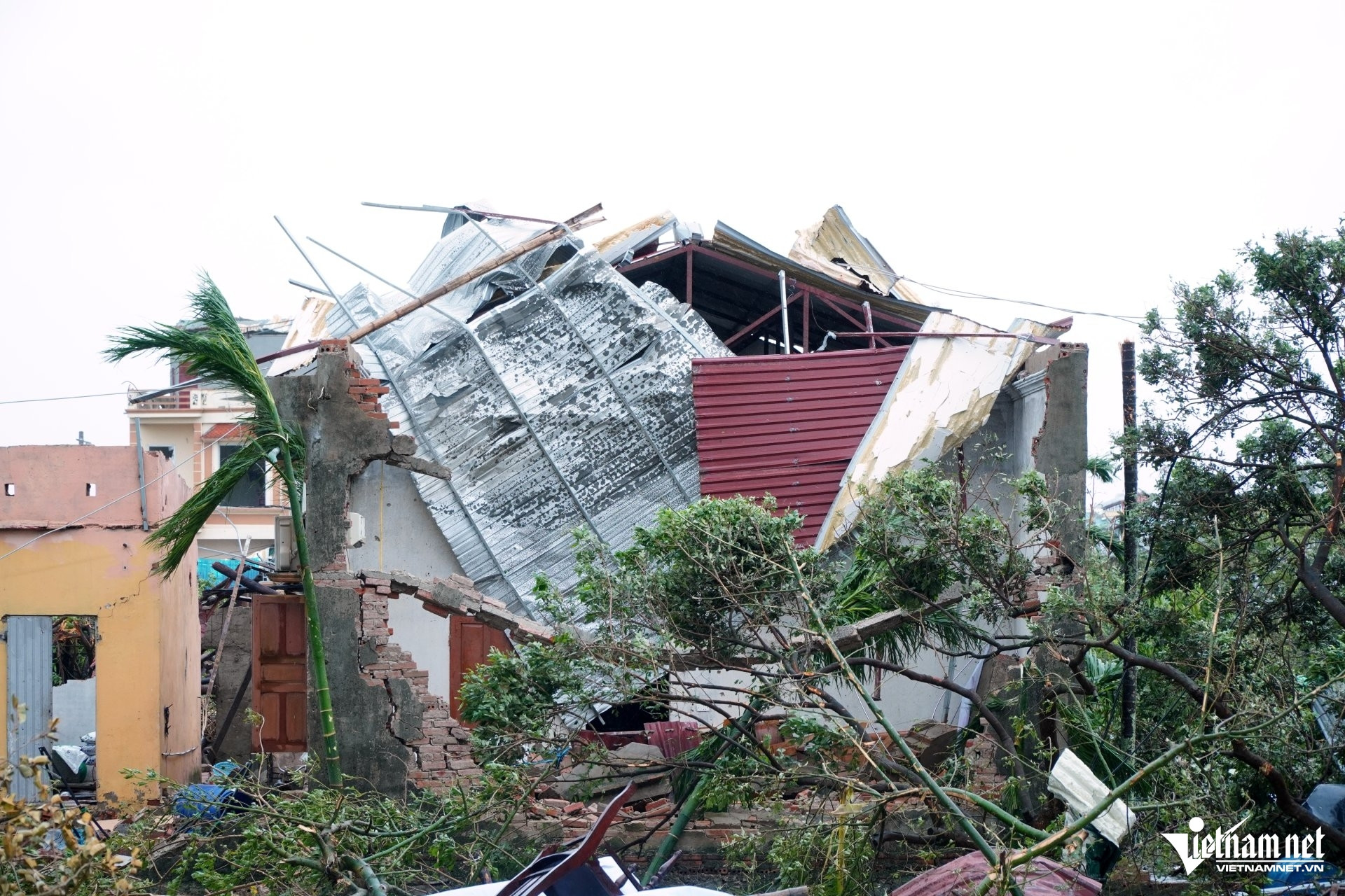 W-Lê Dương1.jpg