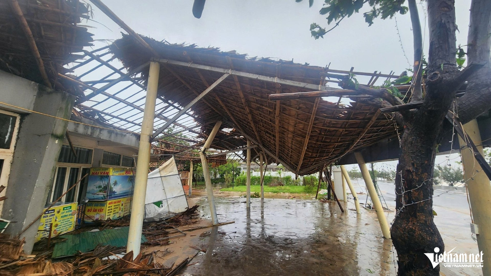 W-Thiên Cầm7.jpg