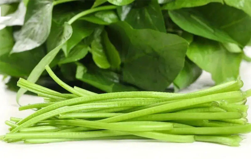 Không phải nhân sâm đây là loại rau trường thọ giá rẻ bèo giúp ngăn ngừa ung thư tăng cường sức đề kháng