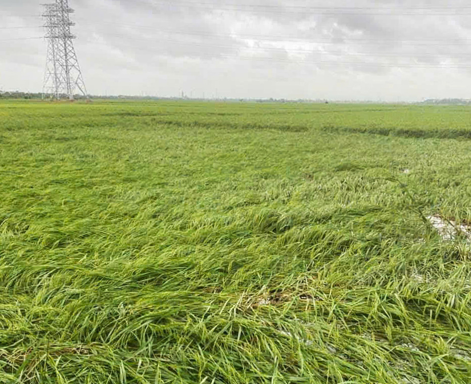 Khung cảnh đổ nát sau trận lốc xoáy càn quét 3 tỉnh thành miền Bắc - 6