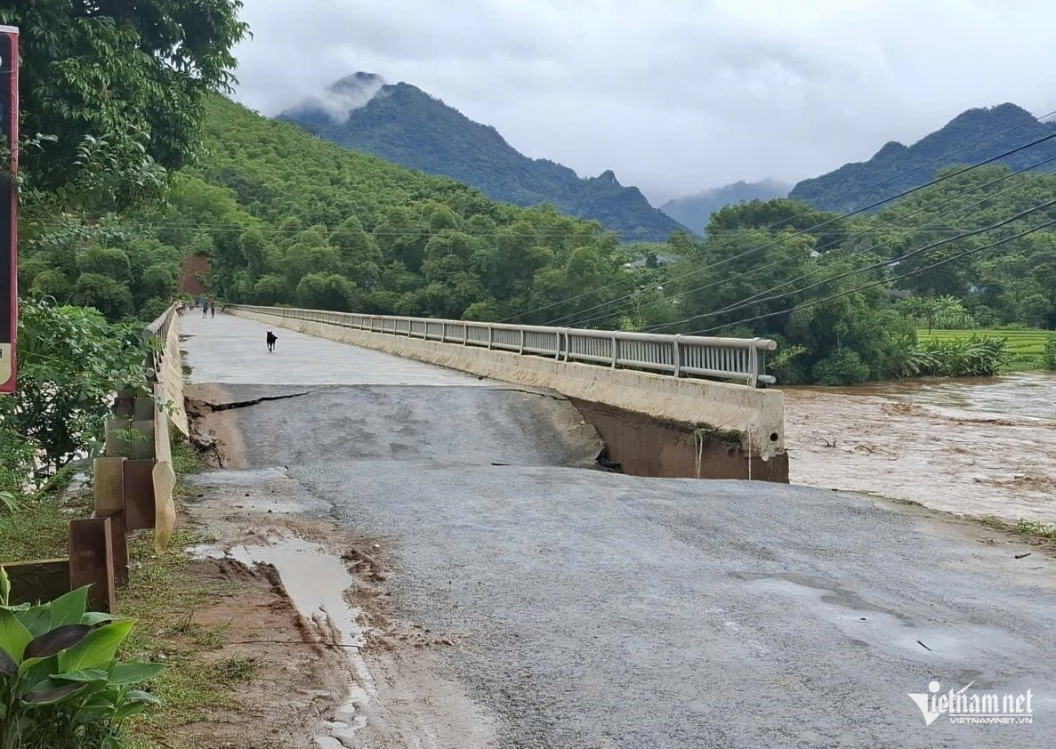 W-edb5df6f 2b90 4c71 af11 55e8d07445b1 2395.jpg