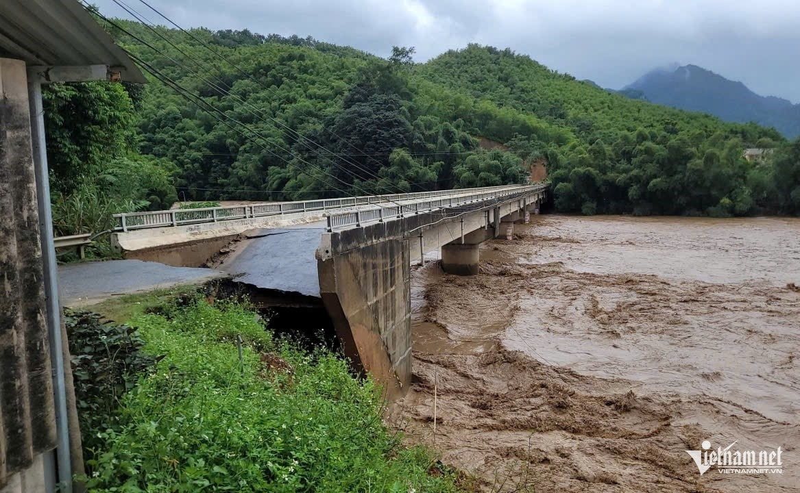 W-6d69da3d 39f1 4681 95a7 db615e6ccfa6 2394.jpg