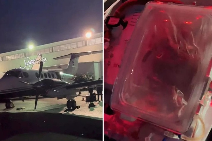 Trái tim được vận chuyển bằng máy bay riêng và để trong “Heart in a Box