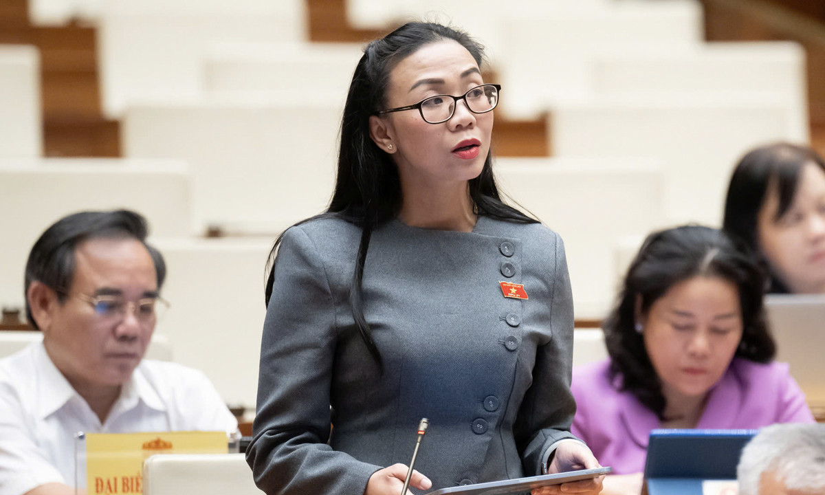 Đại biểu Trịnh Thị Tú Anh.