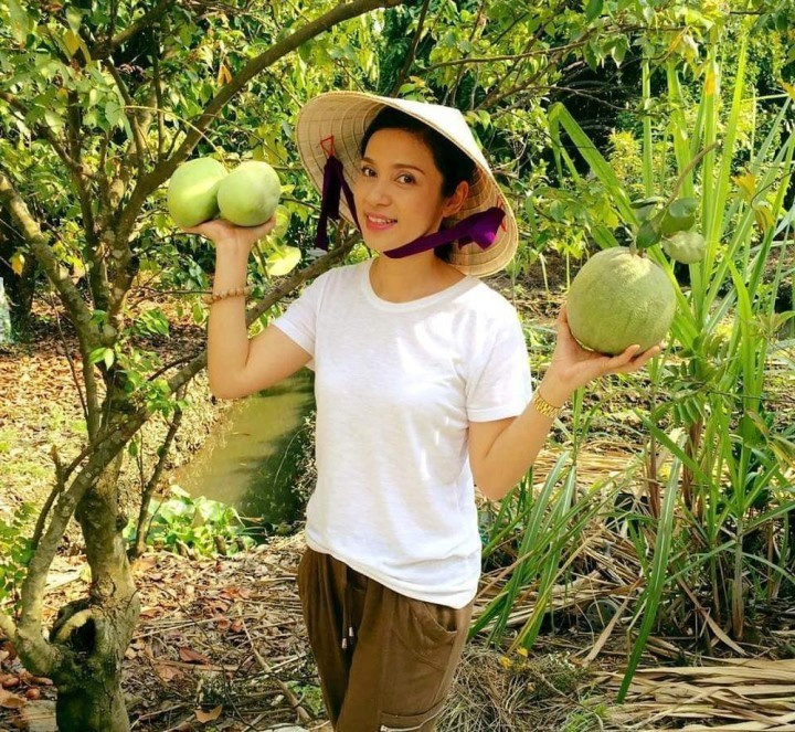 Việt Trinh