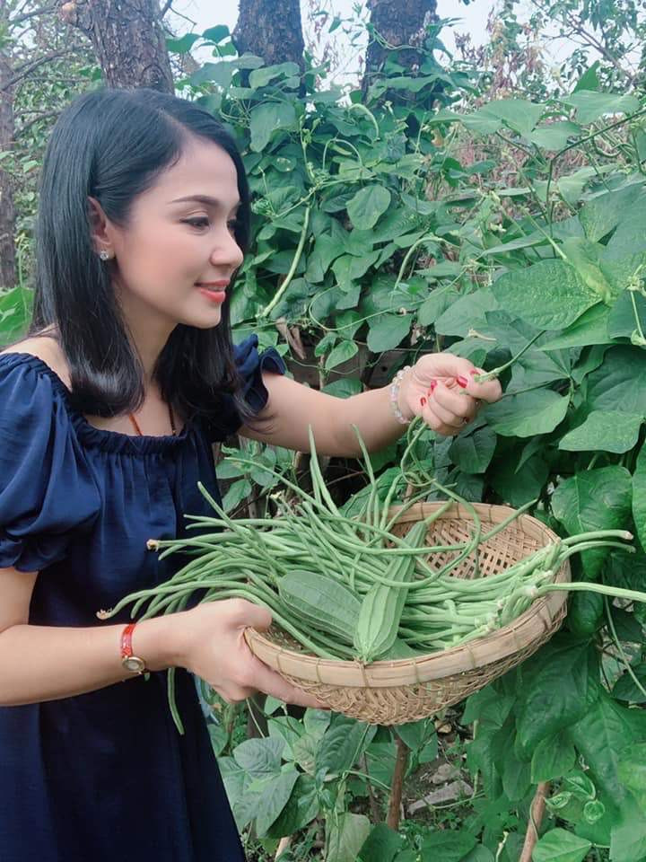 Việt Trinh