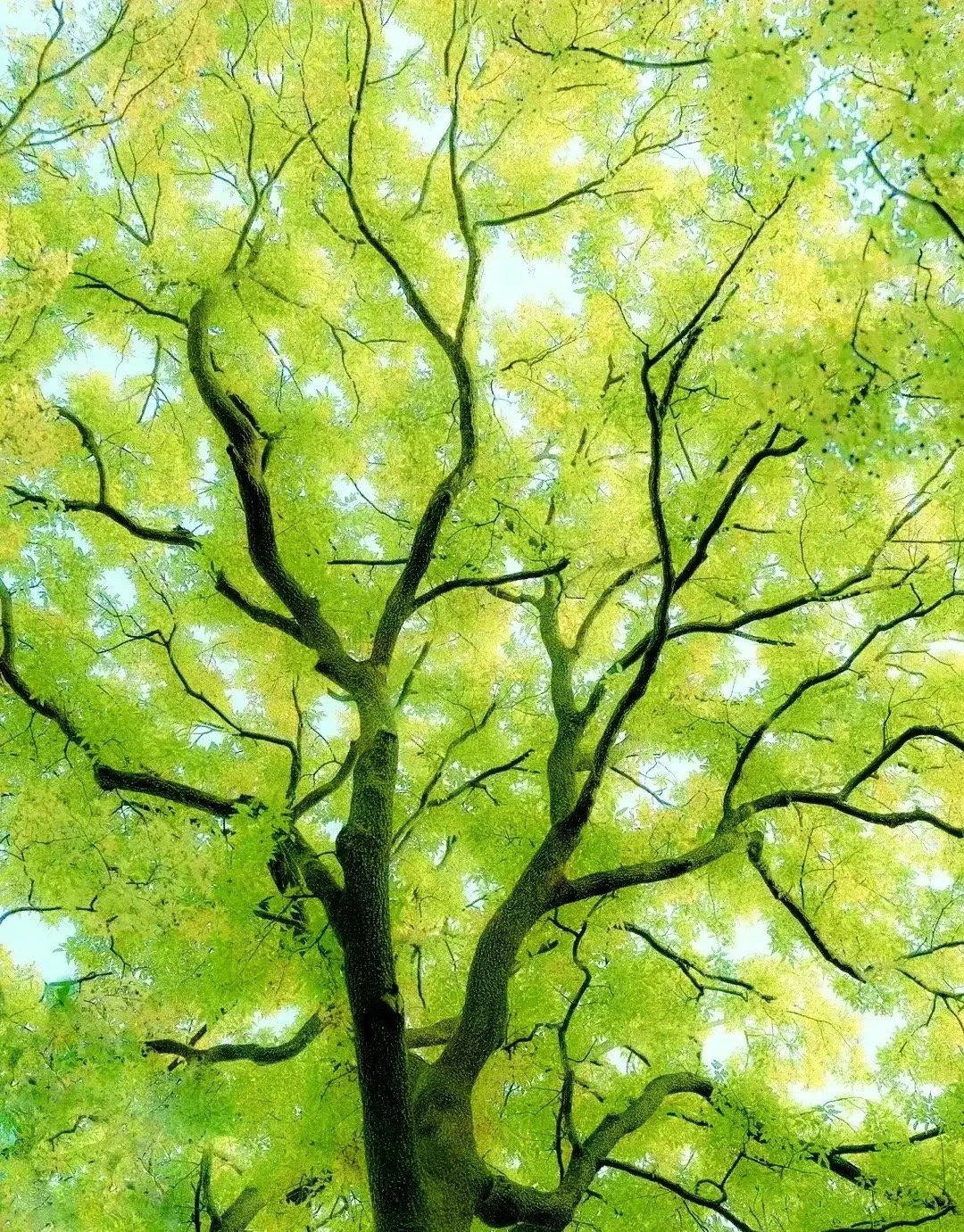 Tháng sinh Âm lịch của người được trời ban khí chất hơn người- Ảnh 4.