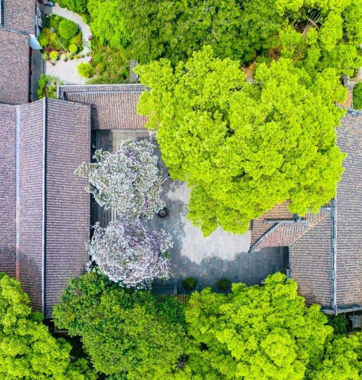 Tháng sinh Âm lịch của người được trời ban khí chất hơn người- Ảnh 2.