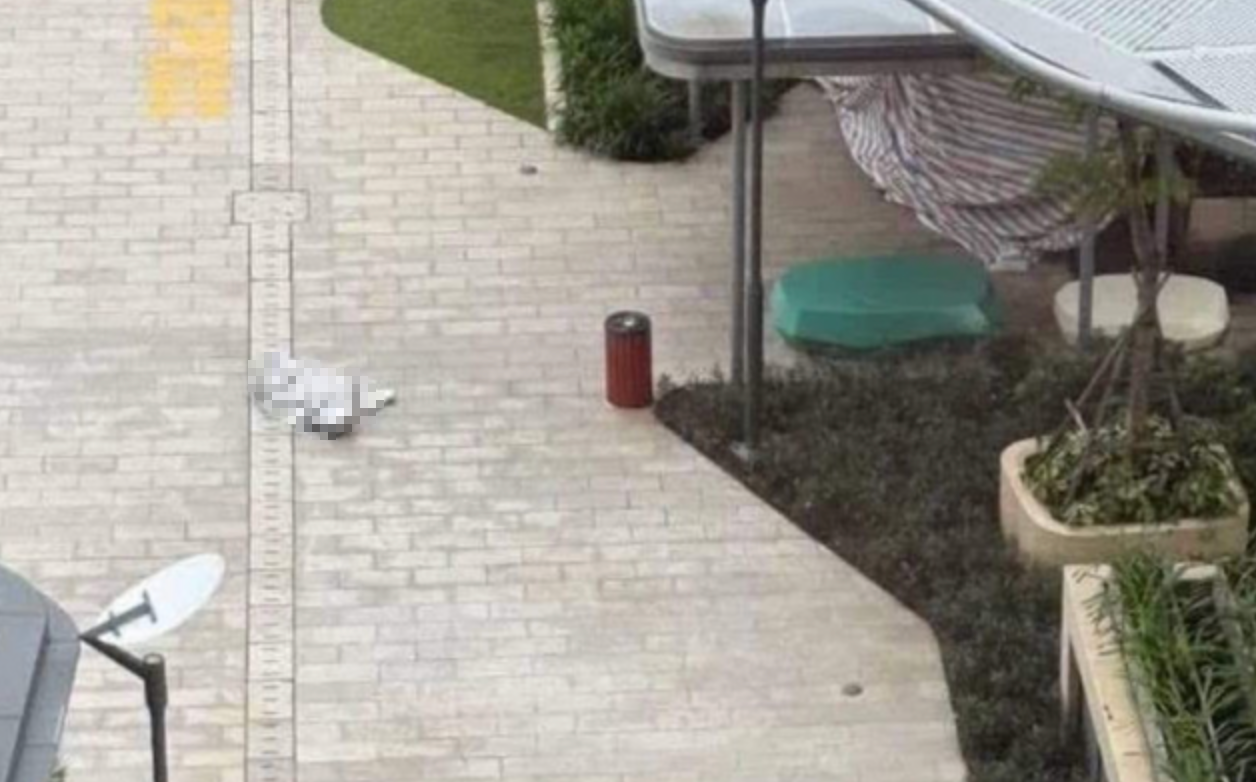 Vụ livestream tự tử của nữ TikToker tại TP HCM gây chấn động mạng xã hội - Ảnh 1.