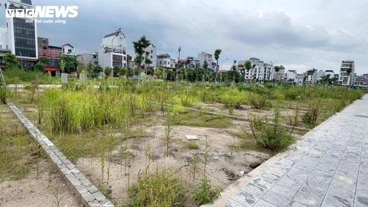 Đất nền chưa được cấp phép tiềm ẩn nhiều rủi ro. (Ảnh: Công Hiếu)