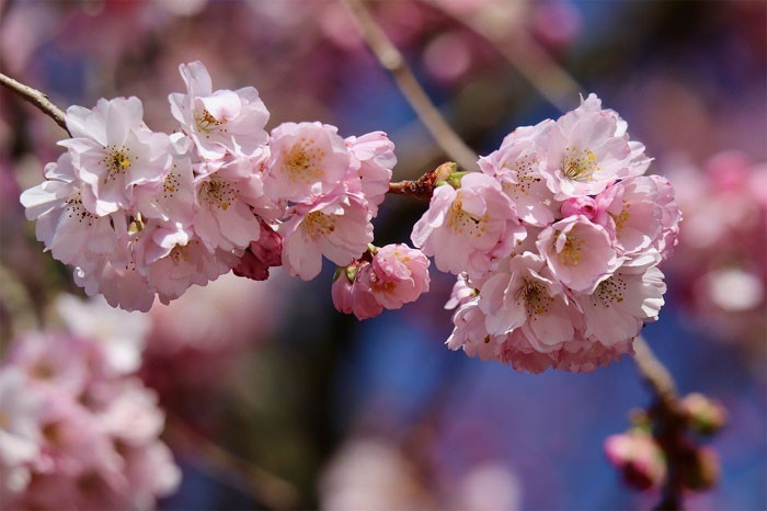 Người sinh ngày âm lịch này có số mệnh vượng tài tướng làm giàu sớm muộn cũng phát đạt