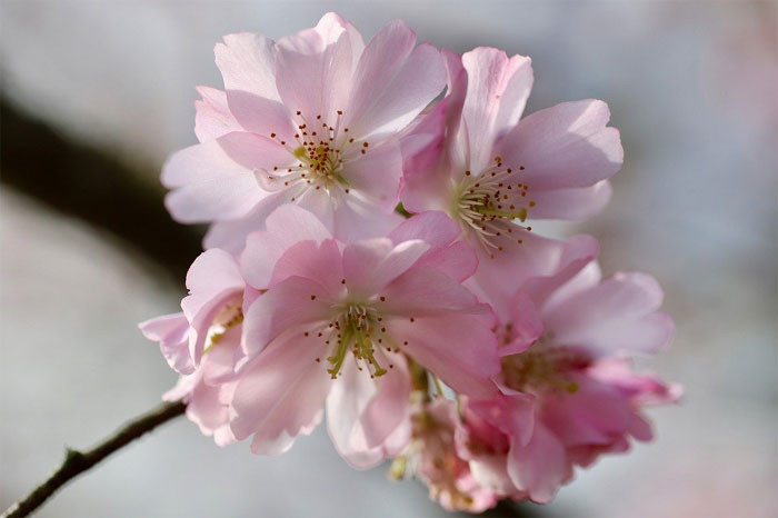 Người sinh ngày âm lịch này có số mệnh vượng tài tướng làm giàu sớm muộn cũng phát đạt