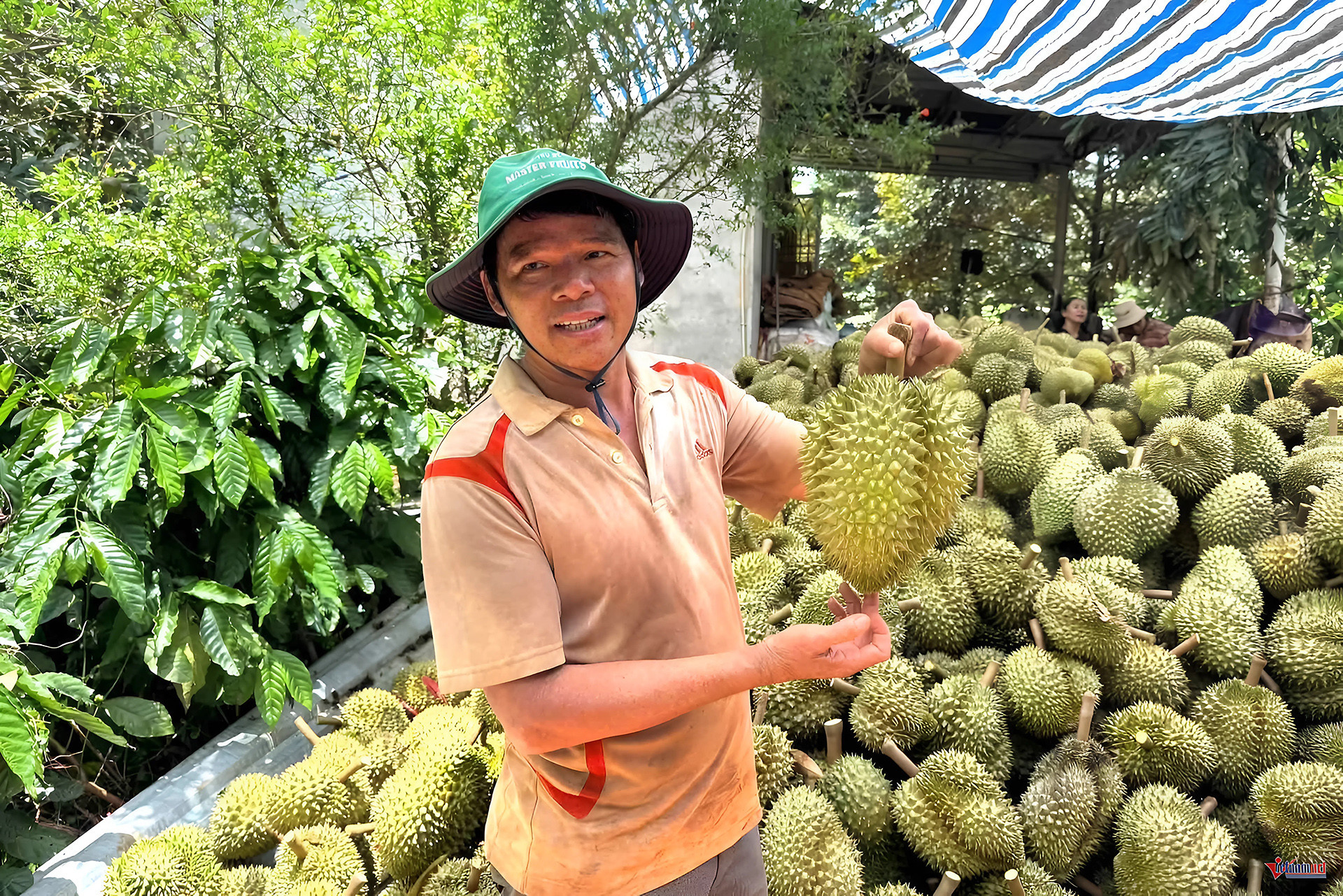 IMG_67A25F26F529 1.jpg