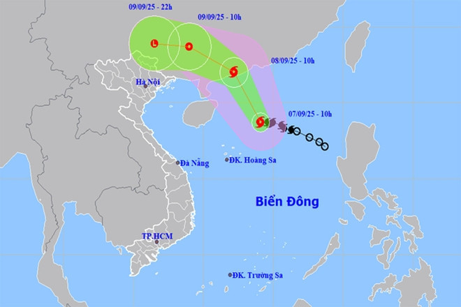 bao so 7 tapah 11260609.jpg