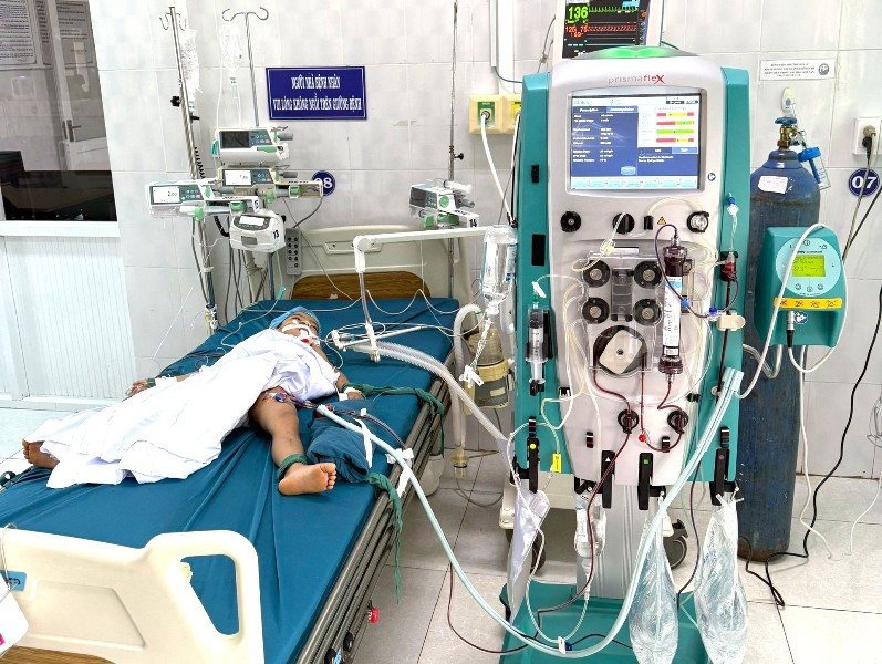 Ong vò vẽ đốt nguy kịch.jpg