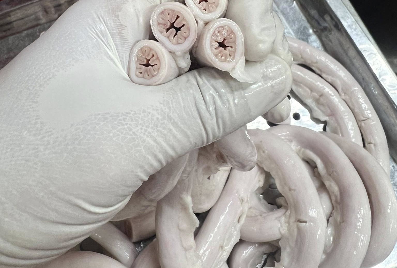 3 tháng sau vụ lòng se điếu gây tranh cãi, Lòng