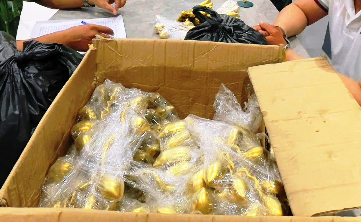 lay-loi-khai-nhom-doi-tuong-lua-dao-co-vat-gia.jpg