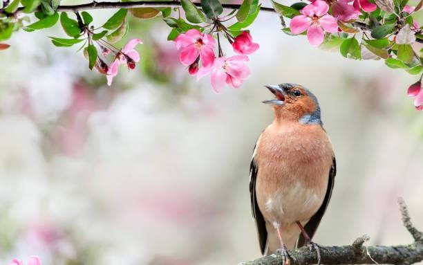 Số cuối ngày sinh Âm lịch của người tuổi trẻ gian nan nhưng hậu vận rực rỡ - Ảnh 1.