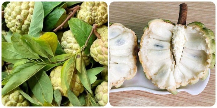 Quả na tốt cho sức khoẻ nhưng không phải ai cũng ăn được