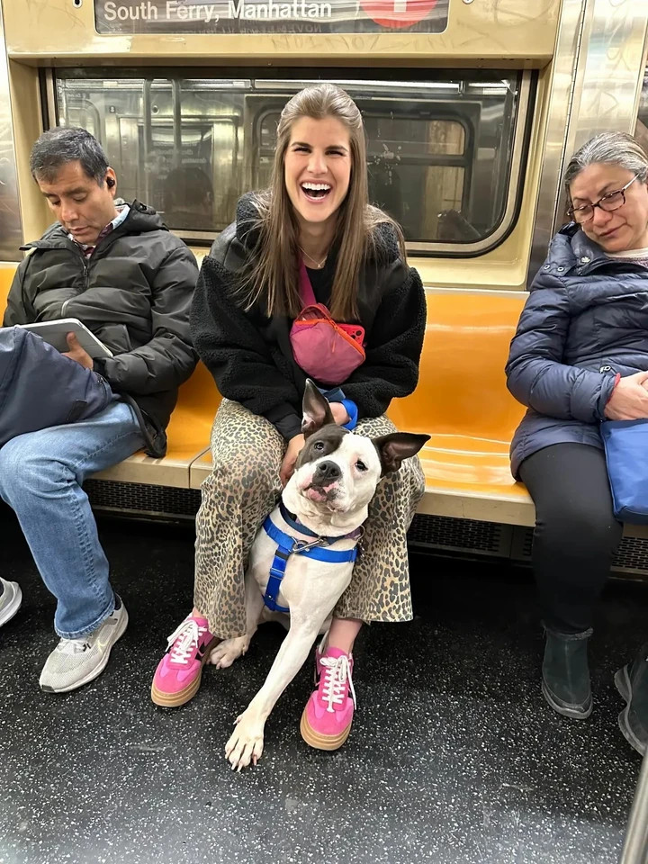 Chán ngấy hẹn hò online, nhiều phụ nữ ‘thà dắt chó đi dạo còn hơn yêu đương’插图2 Cole Reifsnider cũng đồng tình với ý kiến cho rằng chó con là người bạn đồng hành tuyệt vời khi không có nhu cầu hẹn hò.